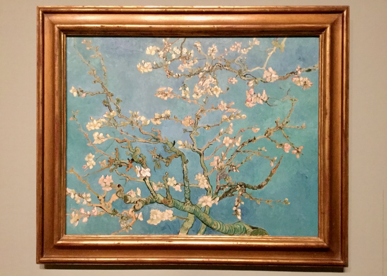 almond blossom - Van Goch