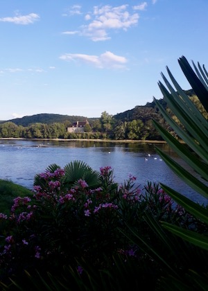 view from les magnolias
